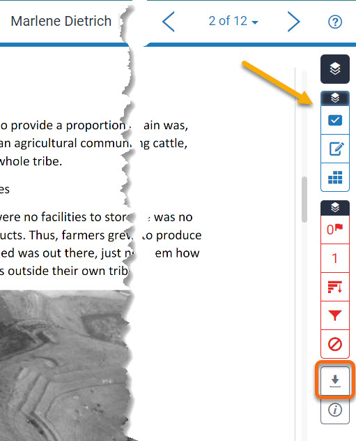 Feedback Studio Download GradeMark view with download options highlighted.