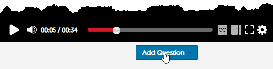 Screenshot of Add Question button under video playback