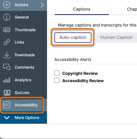 Auto-Caption request button on the Accessibility screen.