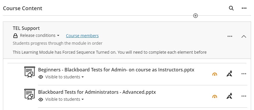 Screenshot of files uploaded to the Course Content 