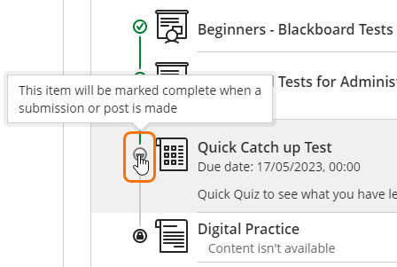 screen shot of incomplete item