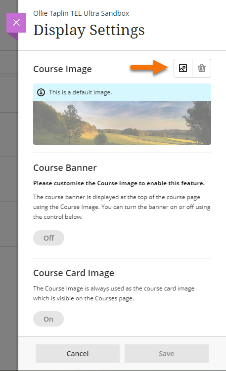 Screenshot showing the Image button