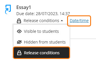 screenshot of Release Conditions link and Date/Time link