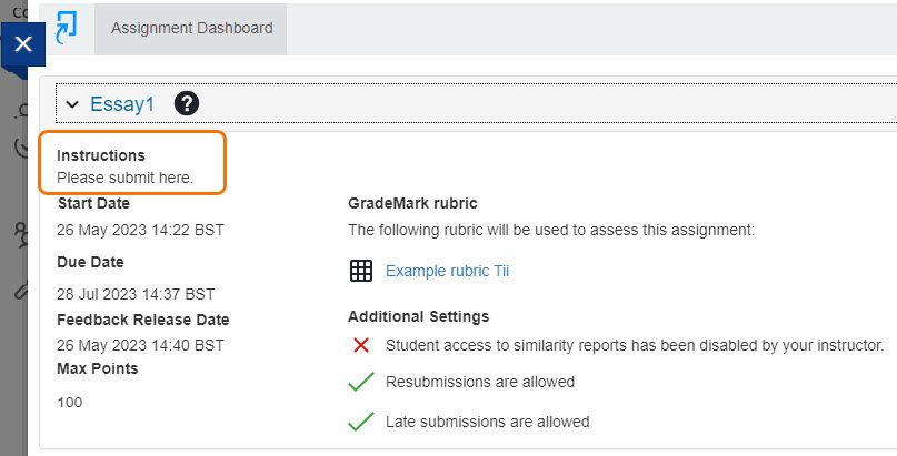 screenshot of student assignment dashboard