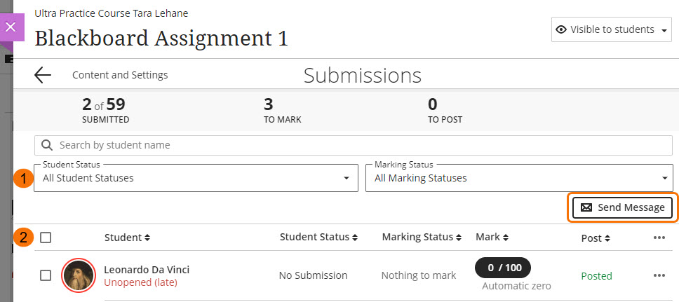 Screenshot of Assignment Submission page with Messages button