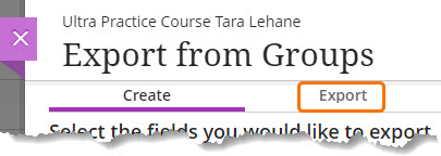 screenshot of Export tab