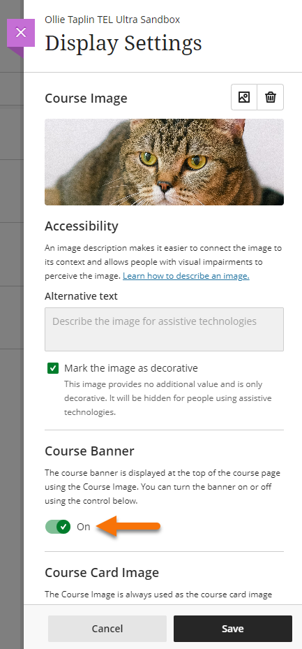 Screenshot showing Course Banner togglr 