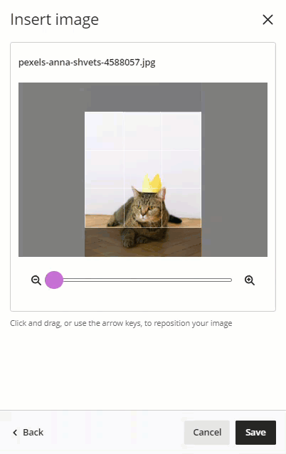 A GIF showing image focal point settings