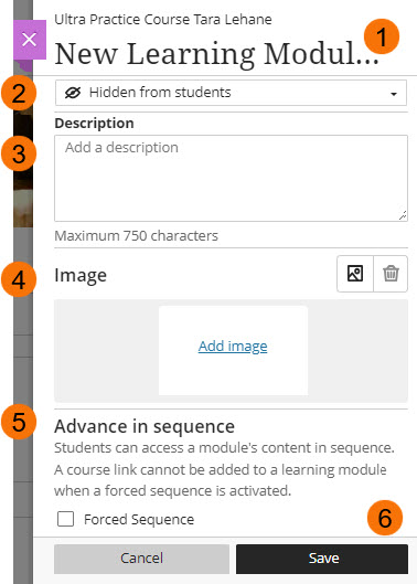 screenshot of Learning Module create panel