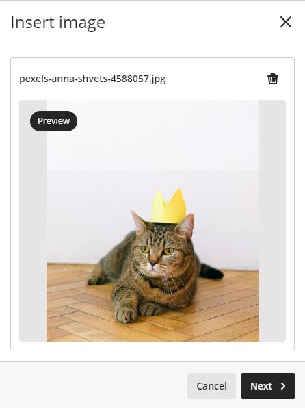 Screenshot showing image preview pane