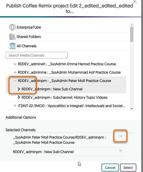 Showing the Channels and Sub-channels to publish a video to. 