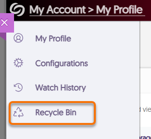 Rycycle Bin Highlighted in a static picture