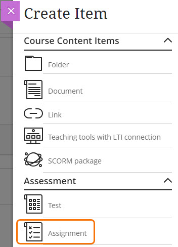 Screenshot of Create Item panel with the Assignment option highlighted. 
