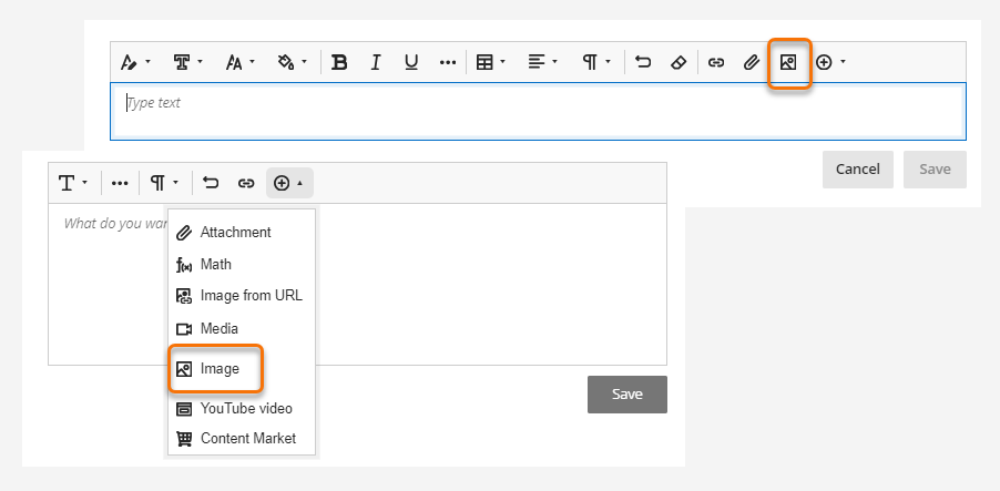 screenshot of Blackboard editors with the image icon identified. 