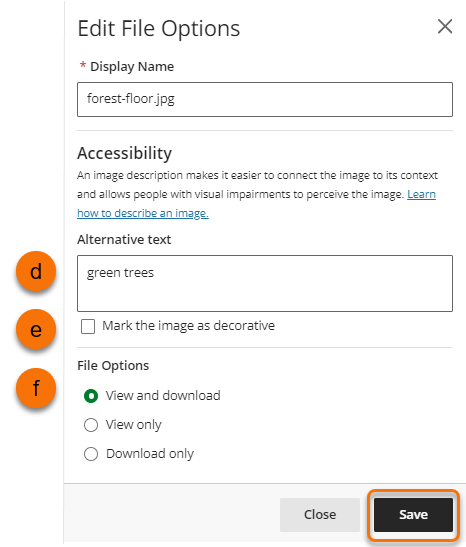 Screenshot of Edit File Options window with alternative text field and mark the image as decorative check box.