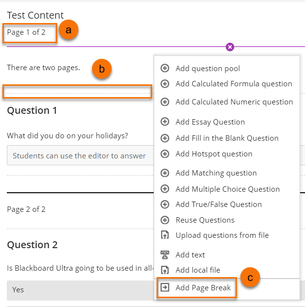 screenshot of page breaks in a test canvas labelled a - c. 