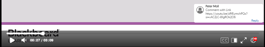 Viewing the comment as a watcher . Comment appears to the side at the specified time.