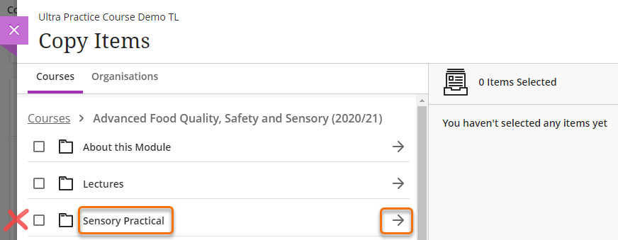 Screenshot of copy items screen with course title and right-hand side arrow highlighted.
