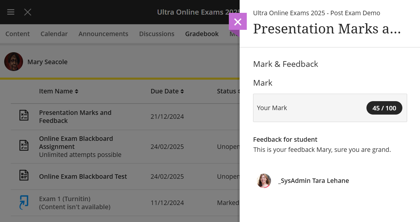 Screenshot of student view of gradebook