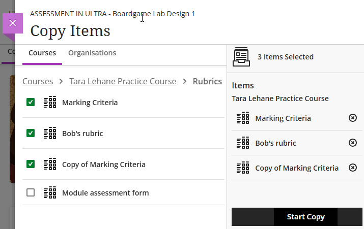 Screenshot of copy items screen