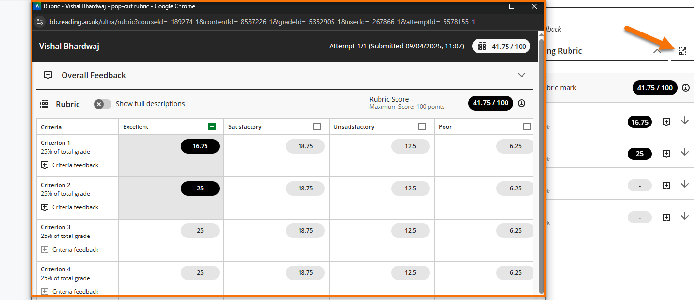 Screenshot showing the location of the pop-out rubric icon