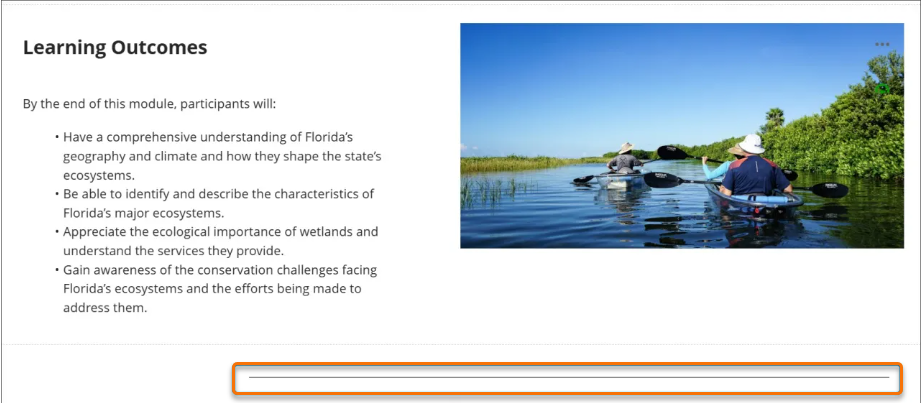Screenshot showing an example of a divider added to a document