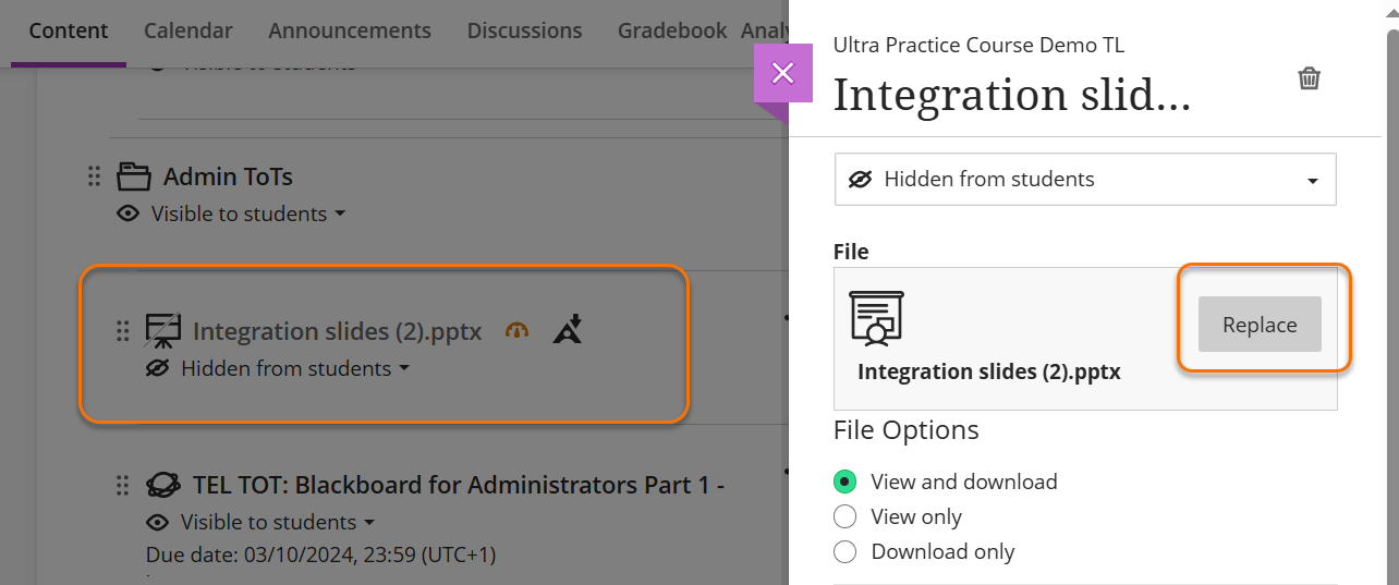 Screenshot of replace function button in the edit panel for a uploaded file.
