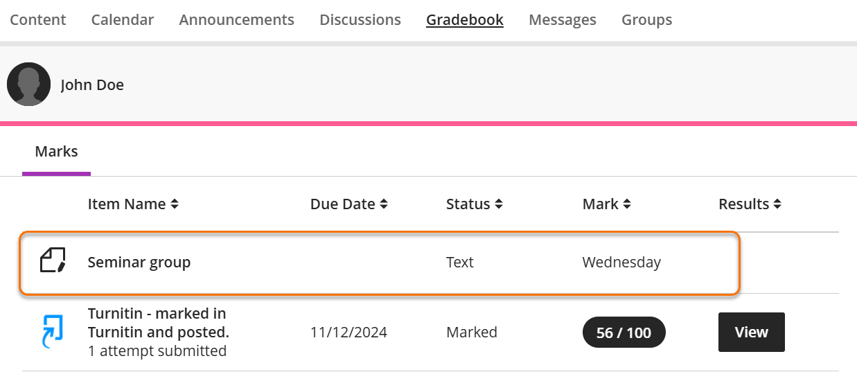 Screenshot of student view of text item in Gradebook.