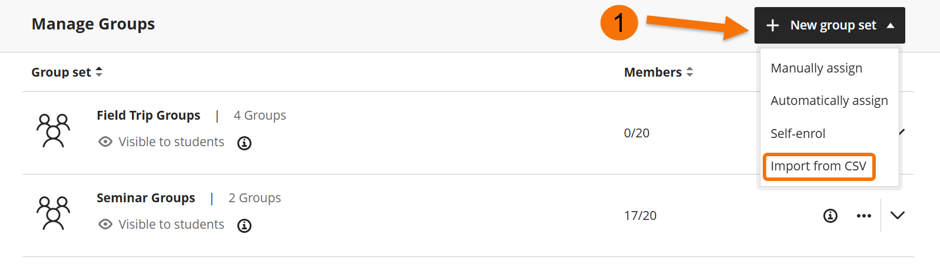 Screenshot showing the import from csv option in the group set menu