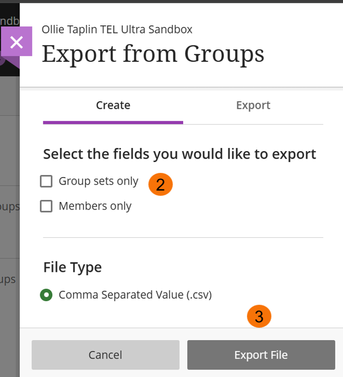 Screenshot showing the export options menu