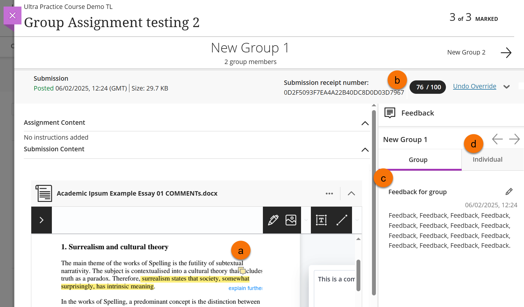 Screenshot of Group assignment marking screen.