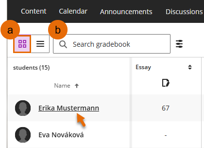 Screenshot of Gradebook Grid view  with student name link - pointed