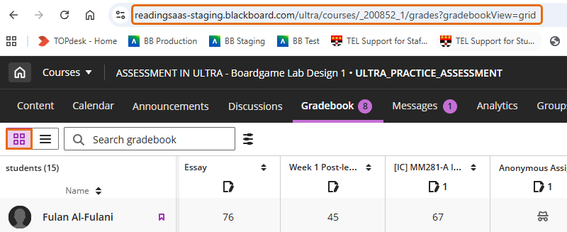 Screenshot of Gradebook Grid