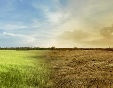 Image depicting a green field on the left and a dried up field on the right, illustrating climate change