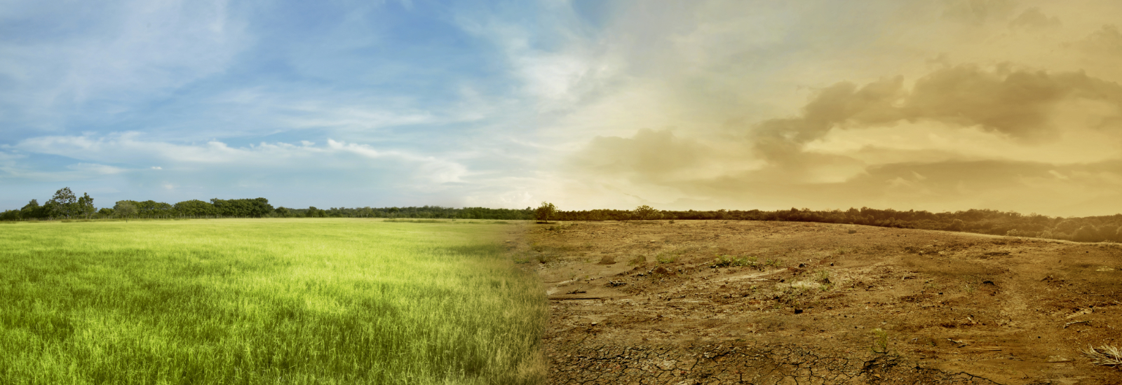 Image depicting a green field on the left and a dried up field on the right, illustrating climate change