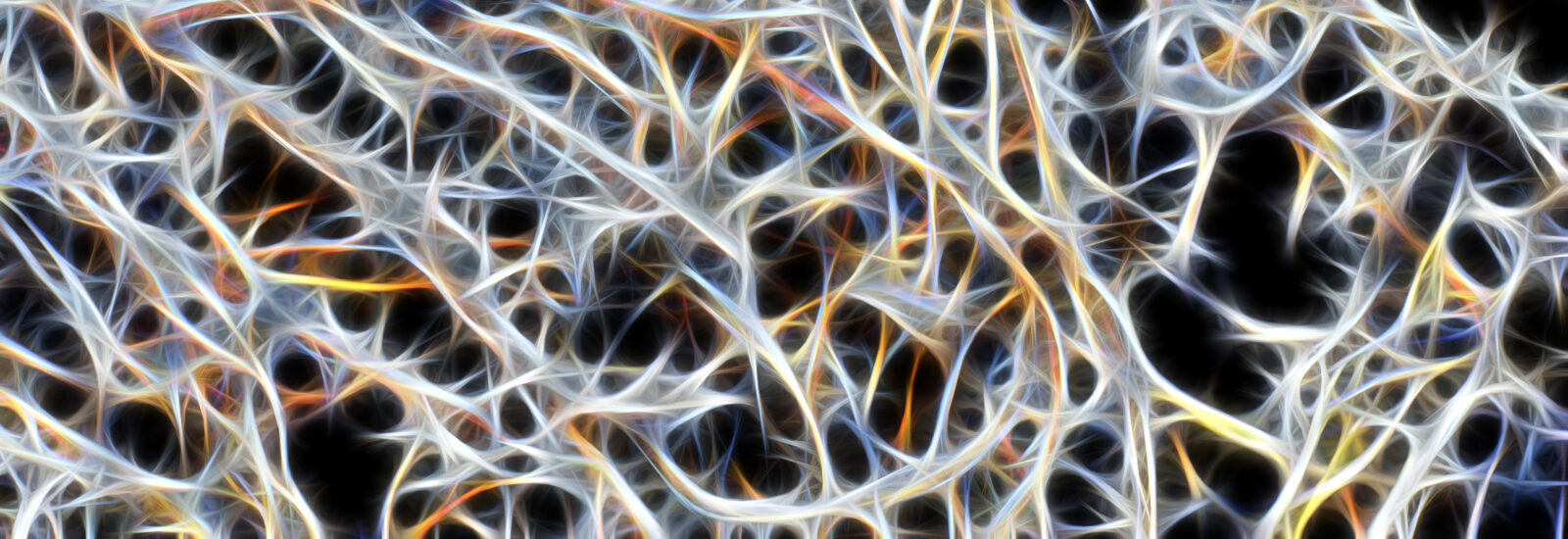 Image representing brain neural activity