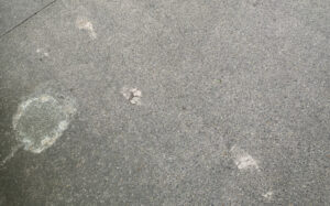 Footsteps in concrete on London Road campus