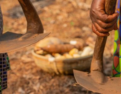 Close-up of the hands of two African women holding two hoes with a basket with the harvest of the fields,