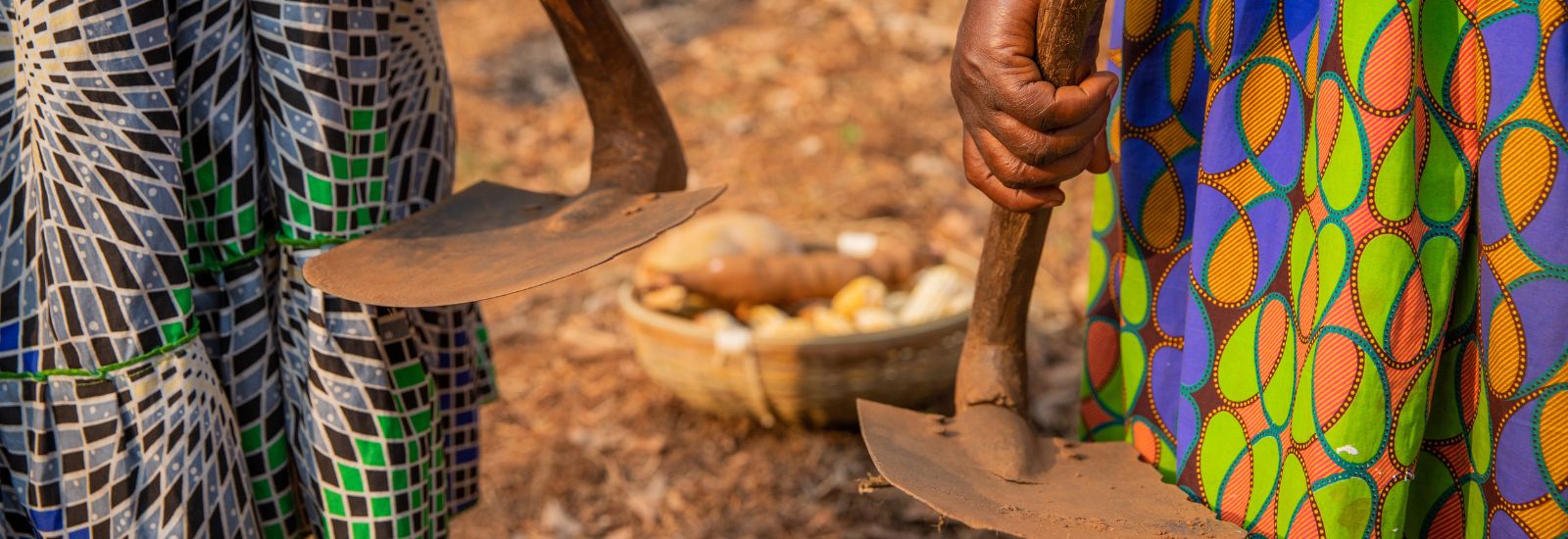 Close-up of the hands of two African women holding two hoes with a basket with the harvest of the fields,