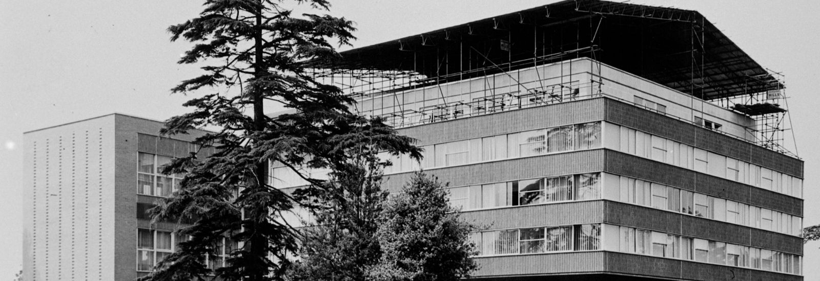 The library on Whiteknights Campus under construction