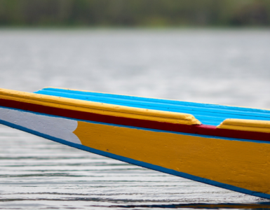 Rowing boats in water