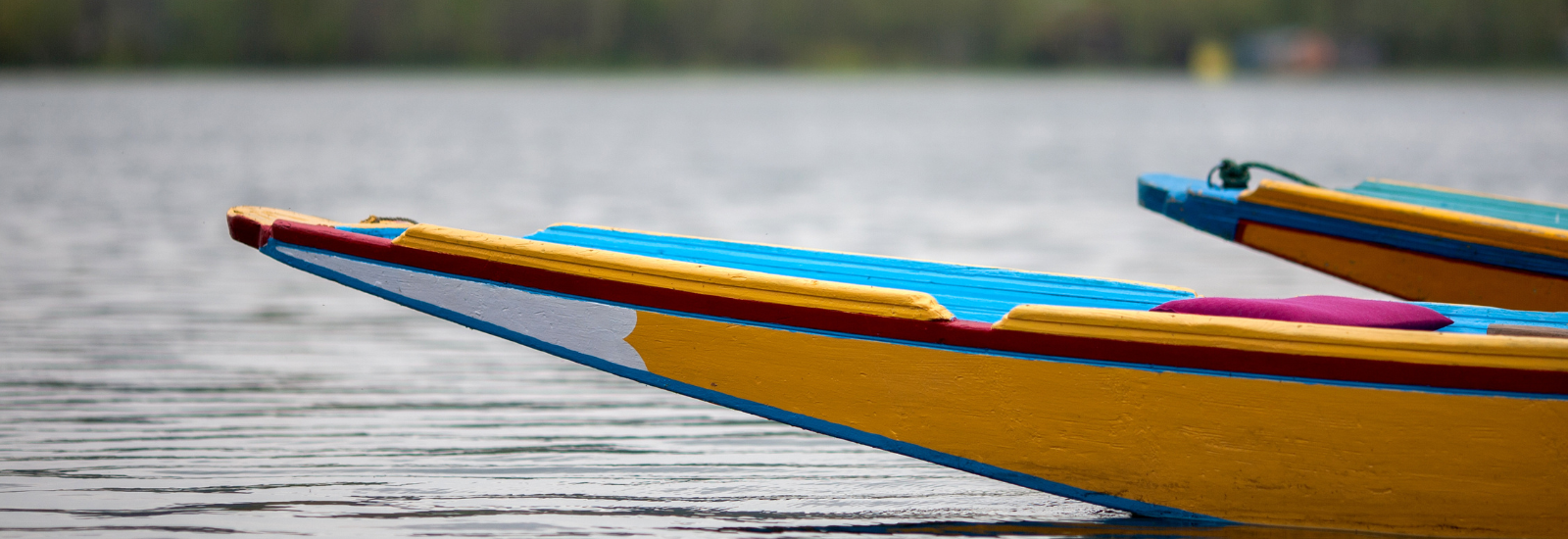 Rowing boats in water