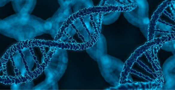 3D rendered illustration of DNA glowing molecule
