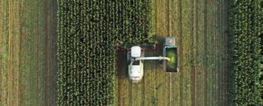 A harvester harvesting corn in the field