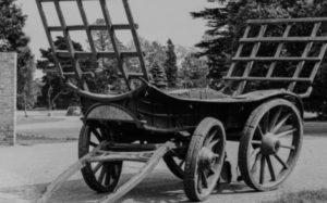 Photograph of a view of a wagon from the Museum collection, in the outdoors. 1960s