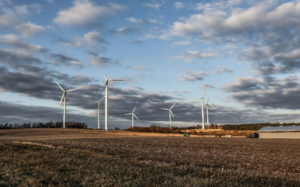 Multiple wind turbines in a field