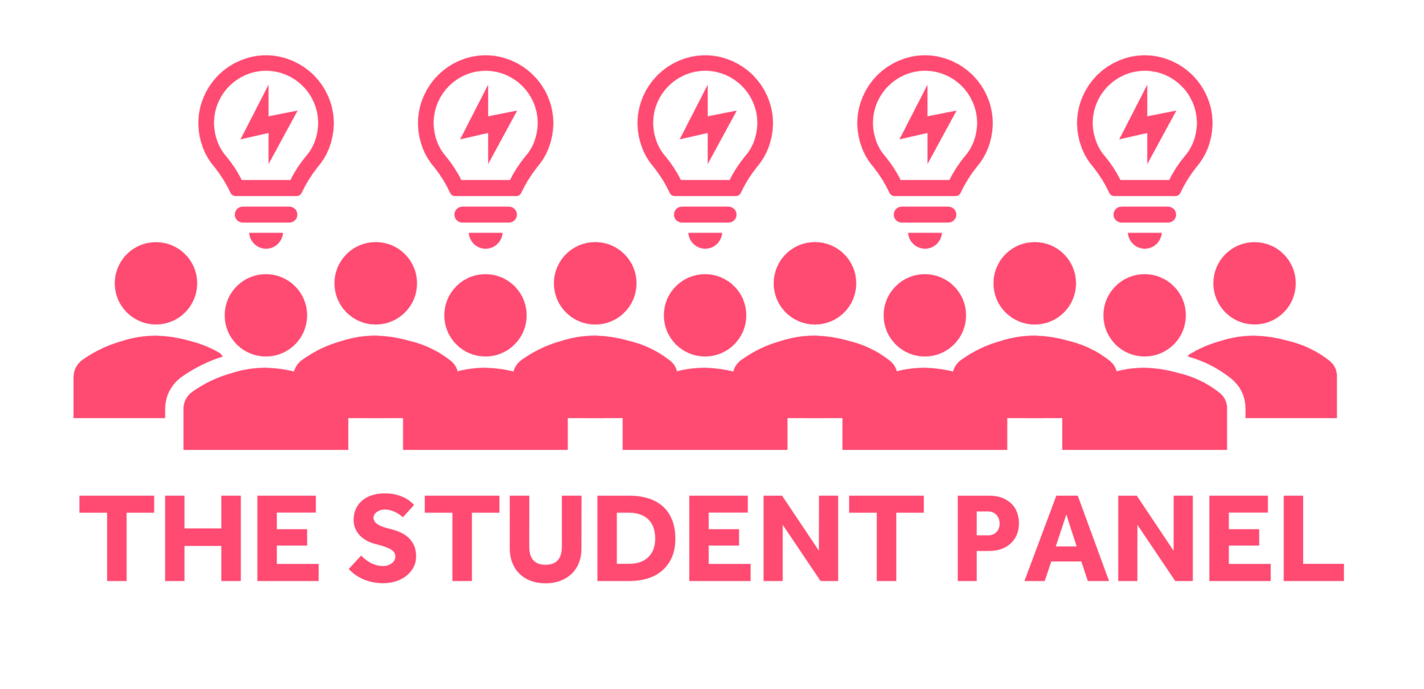 The Student Panel – Curriculum Framework