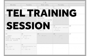 A blurred out calendar with the caption 'Tel Training Session'
