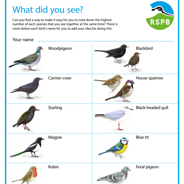 Take part in Big Schools’ Birdwatch