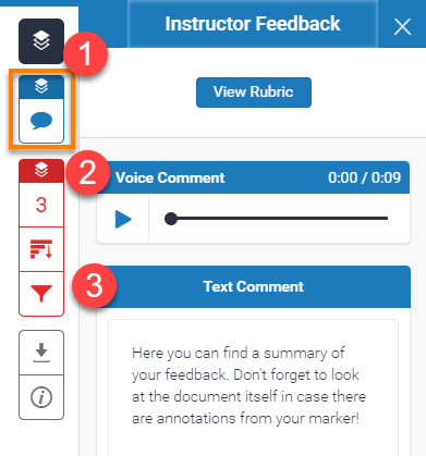 Text Comment button highlighted with general feedback open describing points one to three